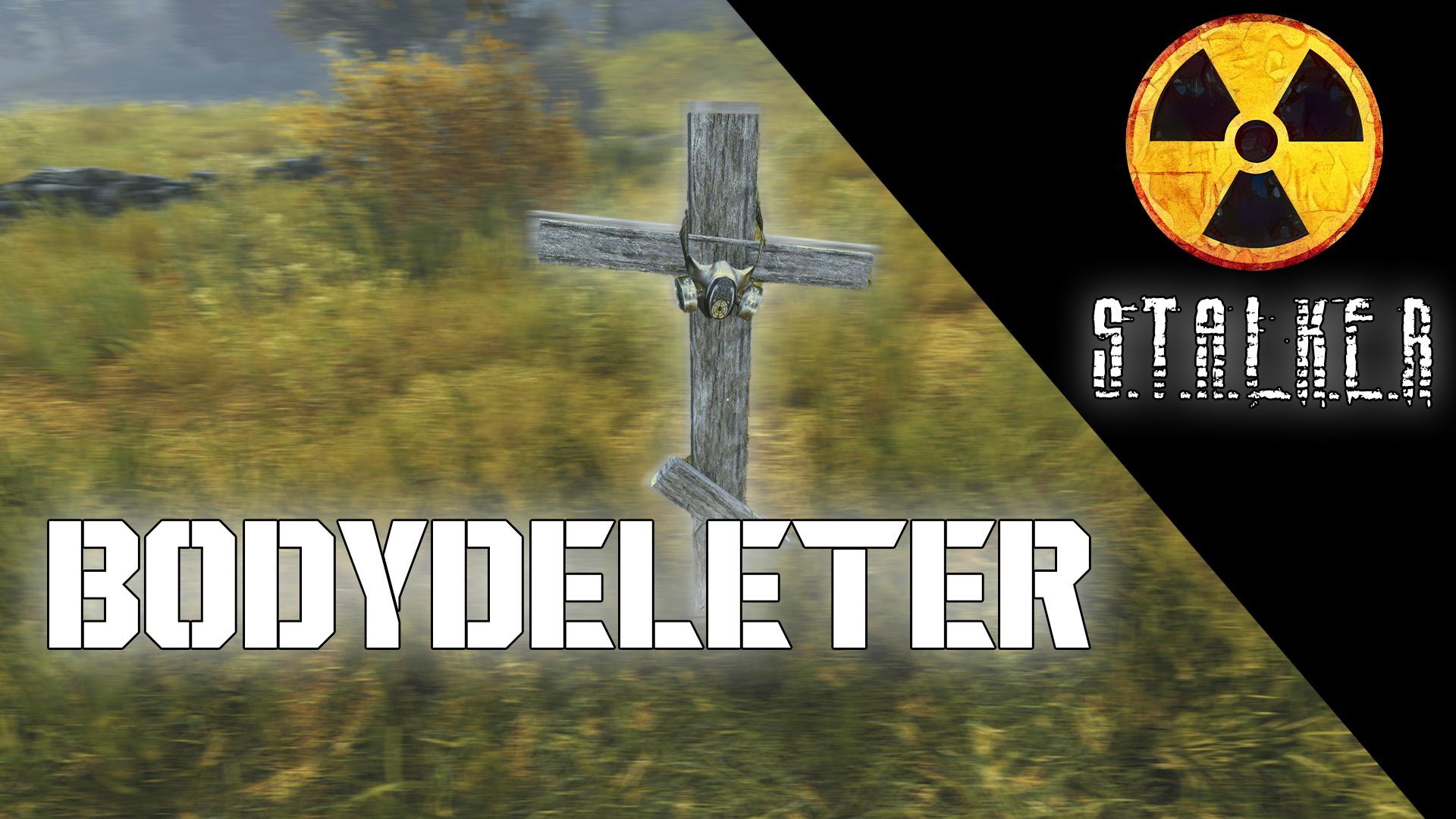 BodyDeleter S.T.A.L.K.E.R