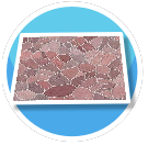 Pink Flagstone