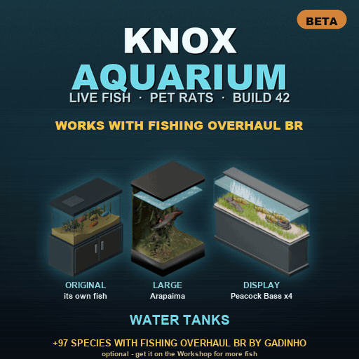 Knox Aquarium - Live Fish Tanks, Pet Rats & Fishing Overhaul BR Support [B42] (Beta) - Server Fix Out