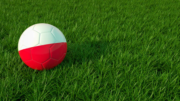 FM26 - Polish lower leagues (4th level) by Bigpole [after winter update]