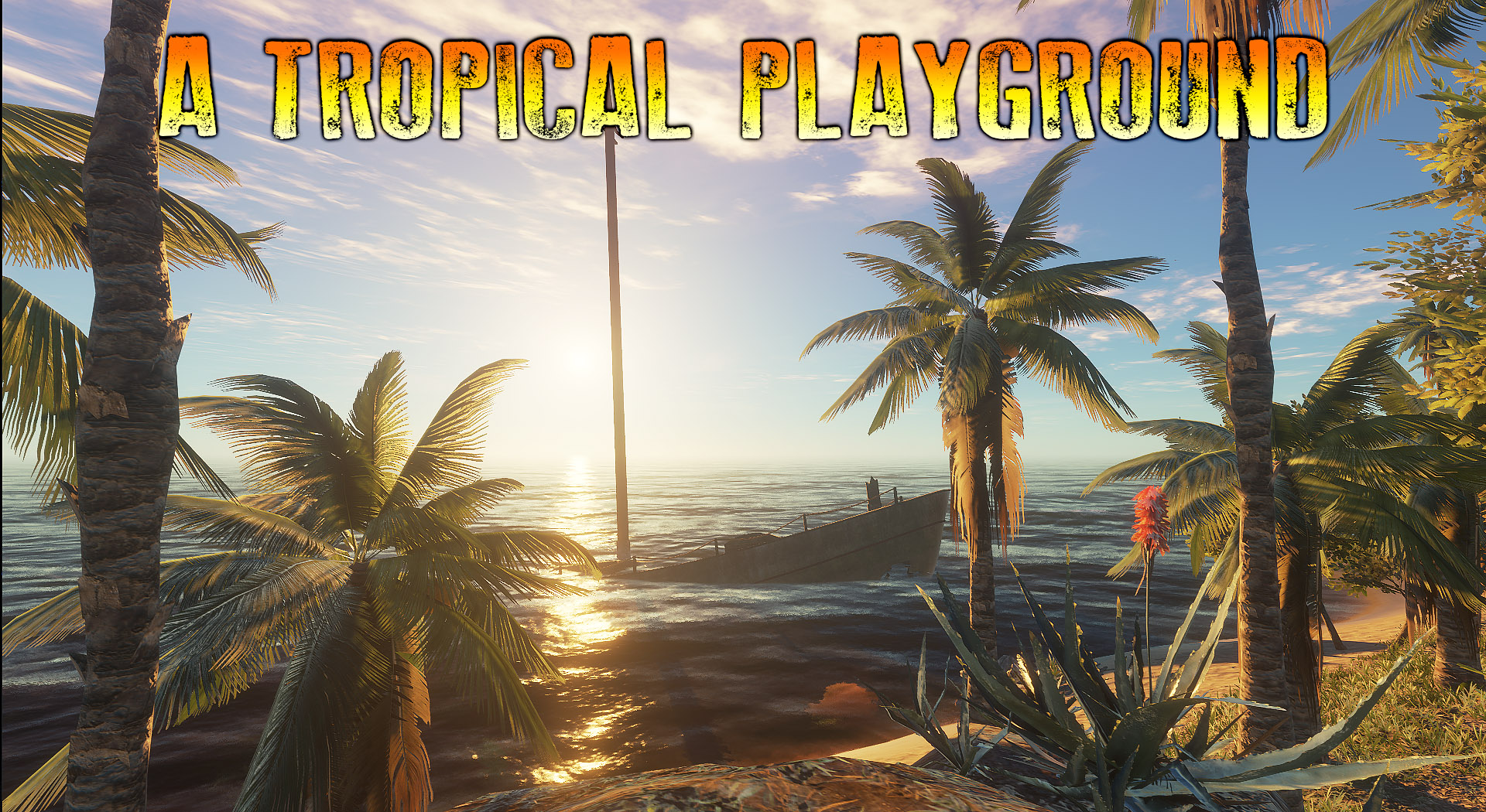 A tropical playground