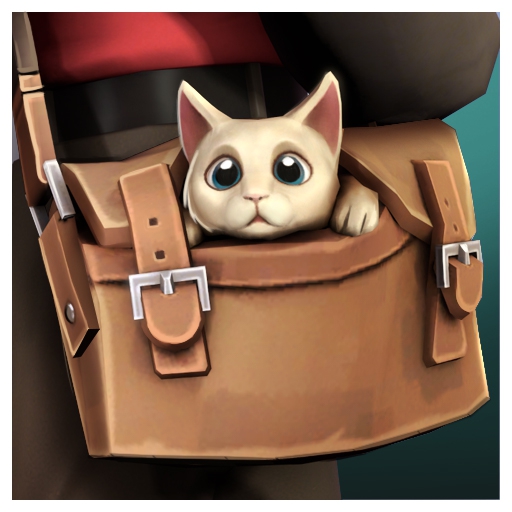 Cat In the Bag