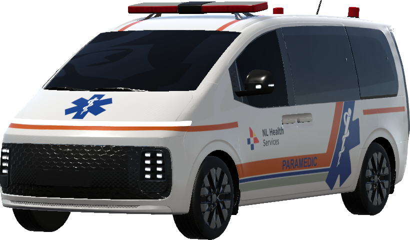 Phoenix NL Health (Fictional)