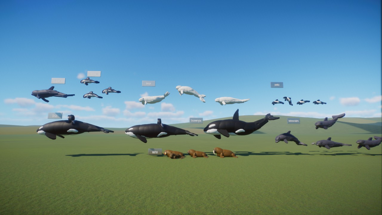 Drac's marine park pack