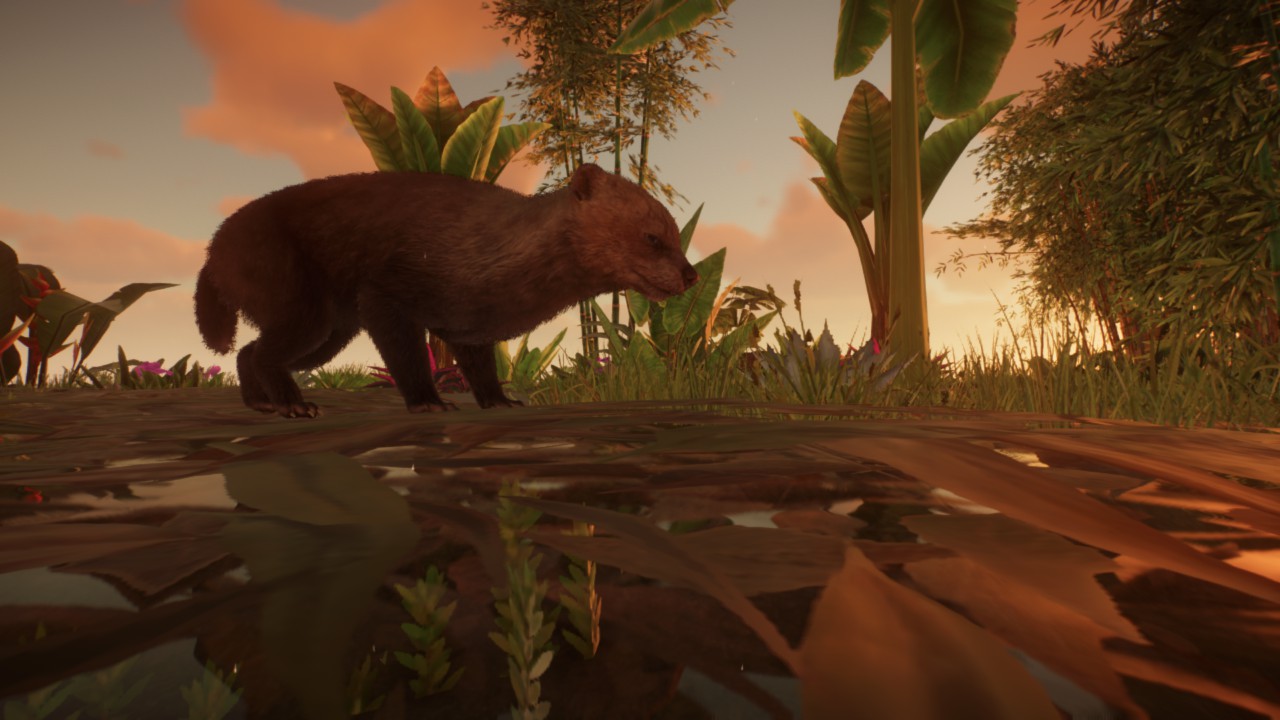 bush dog diorama preview