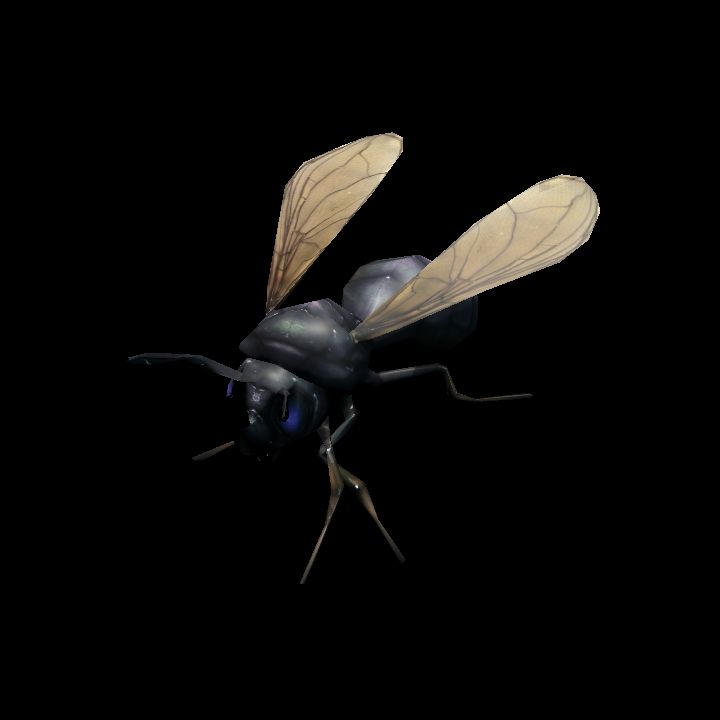 Wasp Walk
