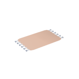 Tasseled Rug