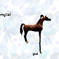 my new horsey world
