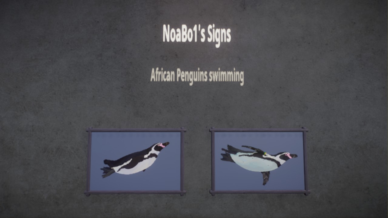African Penguin Signs by NoaBo1