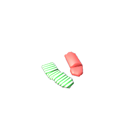 Loose Socks- V4