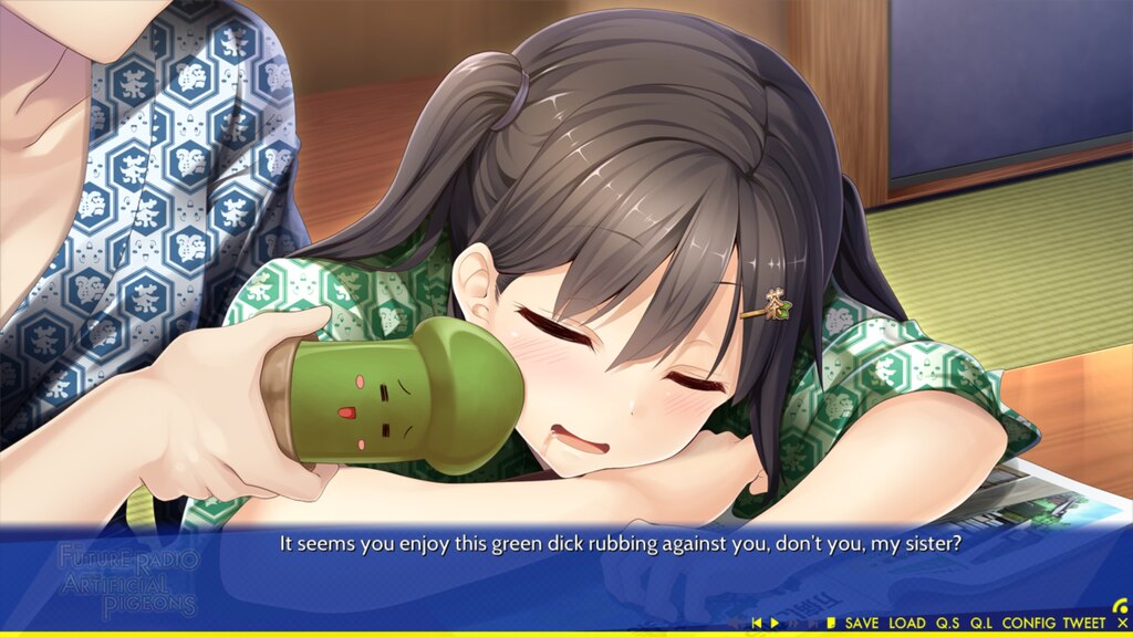 Steam コミュニティ :: 未来ラジオと人工鳩