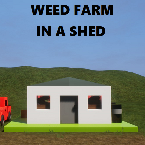 weed farm in a shed