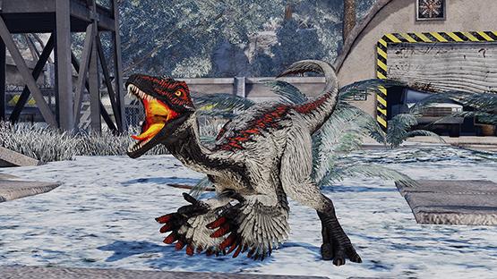 Snow Flame Nova [Winter 2020]