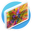 Schmetterling Bild