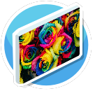 Blumen Bild