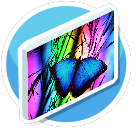 Schmetterling blue