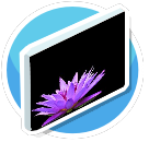 Blume rosa