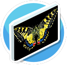 Schmetterling Yello