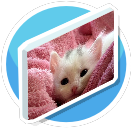 Kitty