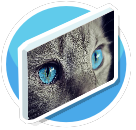 Blue Eyes
