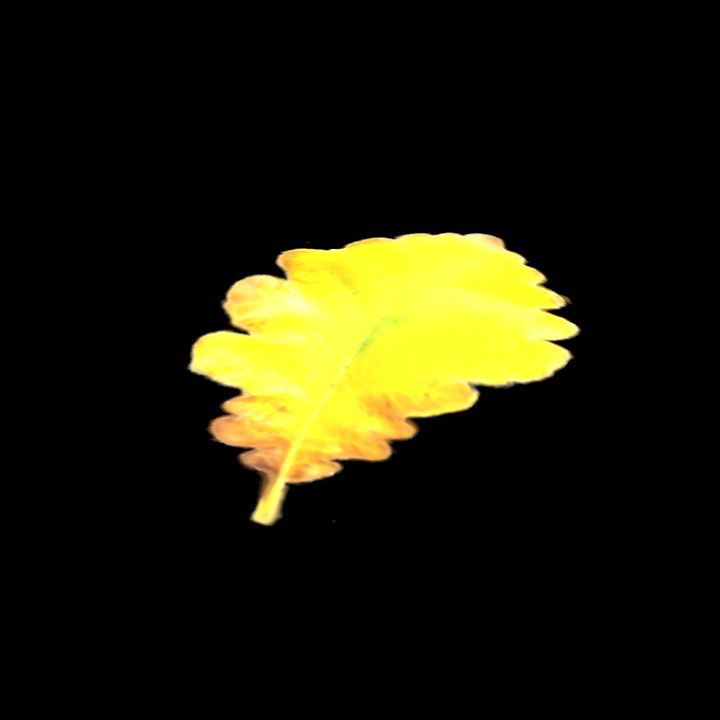 Nature, Leaf, Fall 8