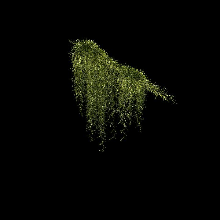Spanish moss_03