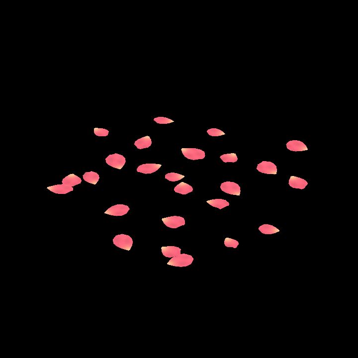 Rose Petals 2/2