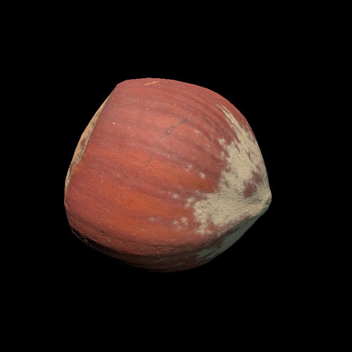 Food, Nuts, Hazelnut 1