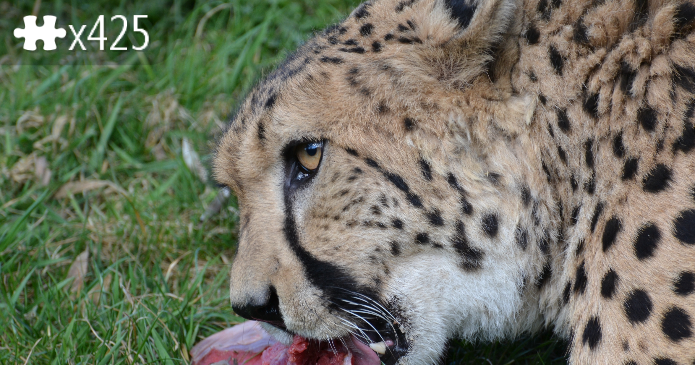 Time for a snack