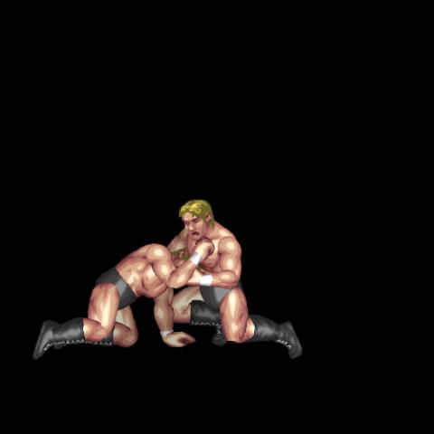 Single Punch (Mount)