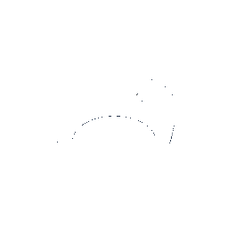 Echo dot