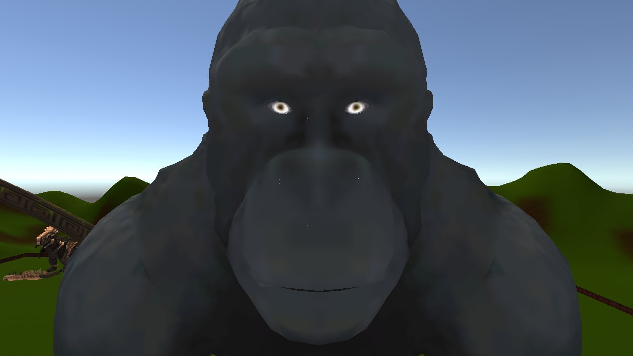 Monkeys and that 2