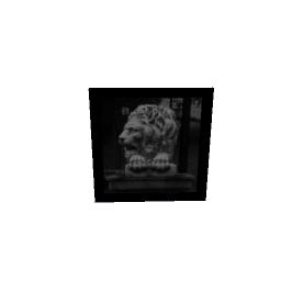 Picture - Lion (by DrewK)