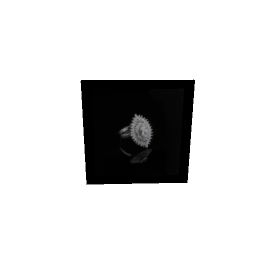 Picture - Ring (by DrewK)