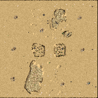 Desolate Dunes