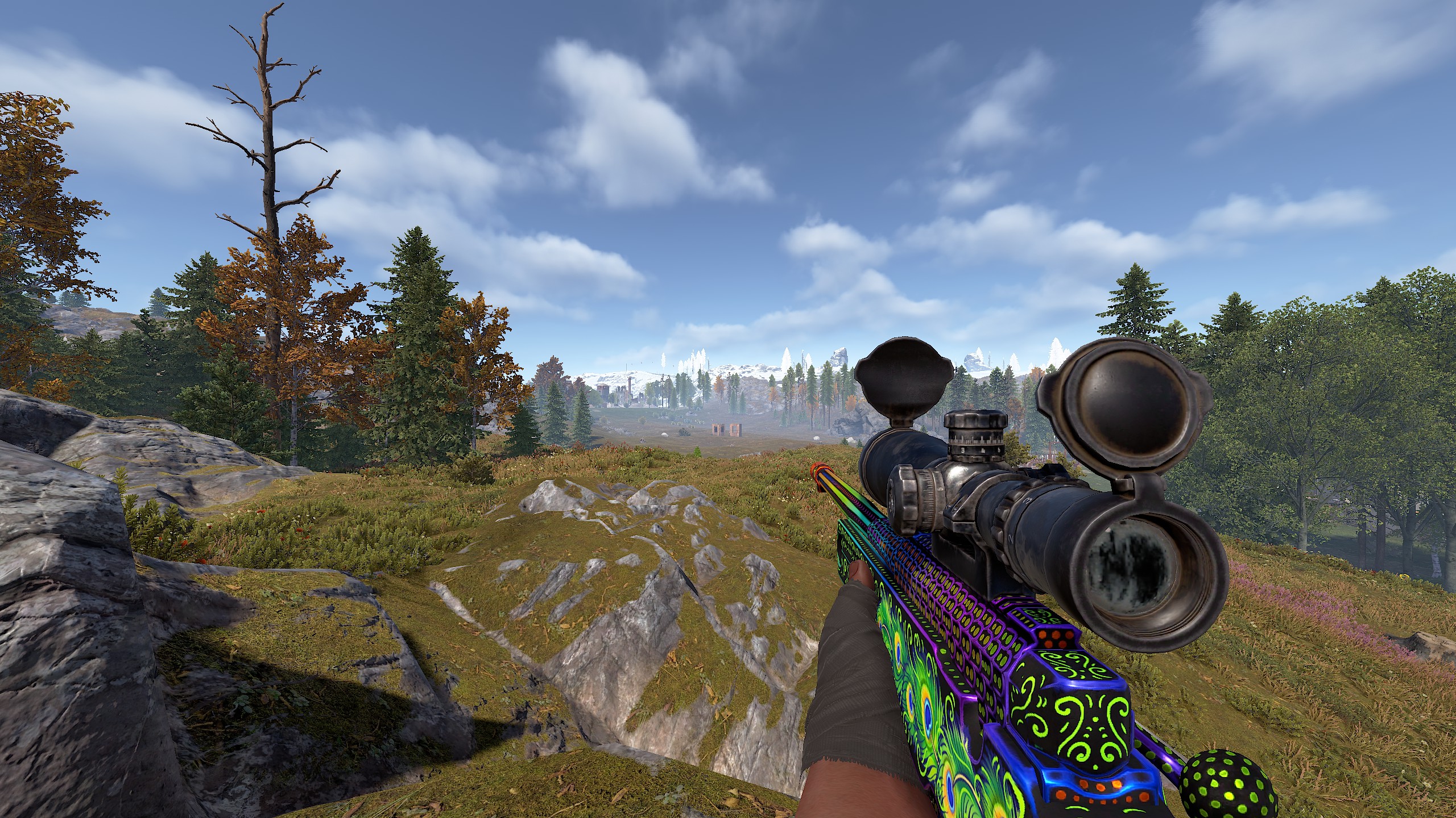 Bird of Luck L96 thumbnail 7