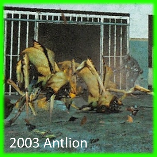 2003 Antlion preview