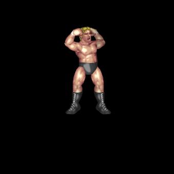 2nd Rope: Muscle Appeal