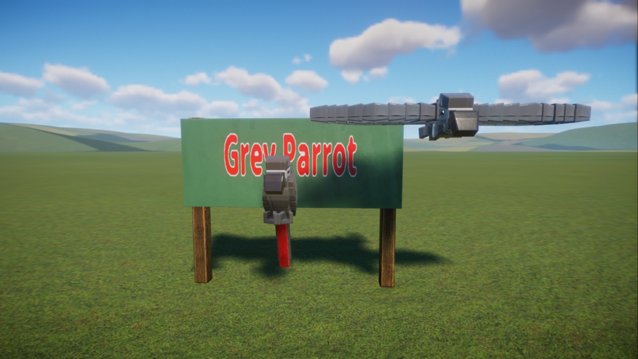 Dark's:Gray Parrot