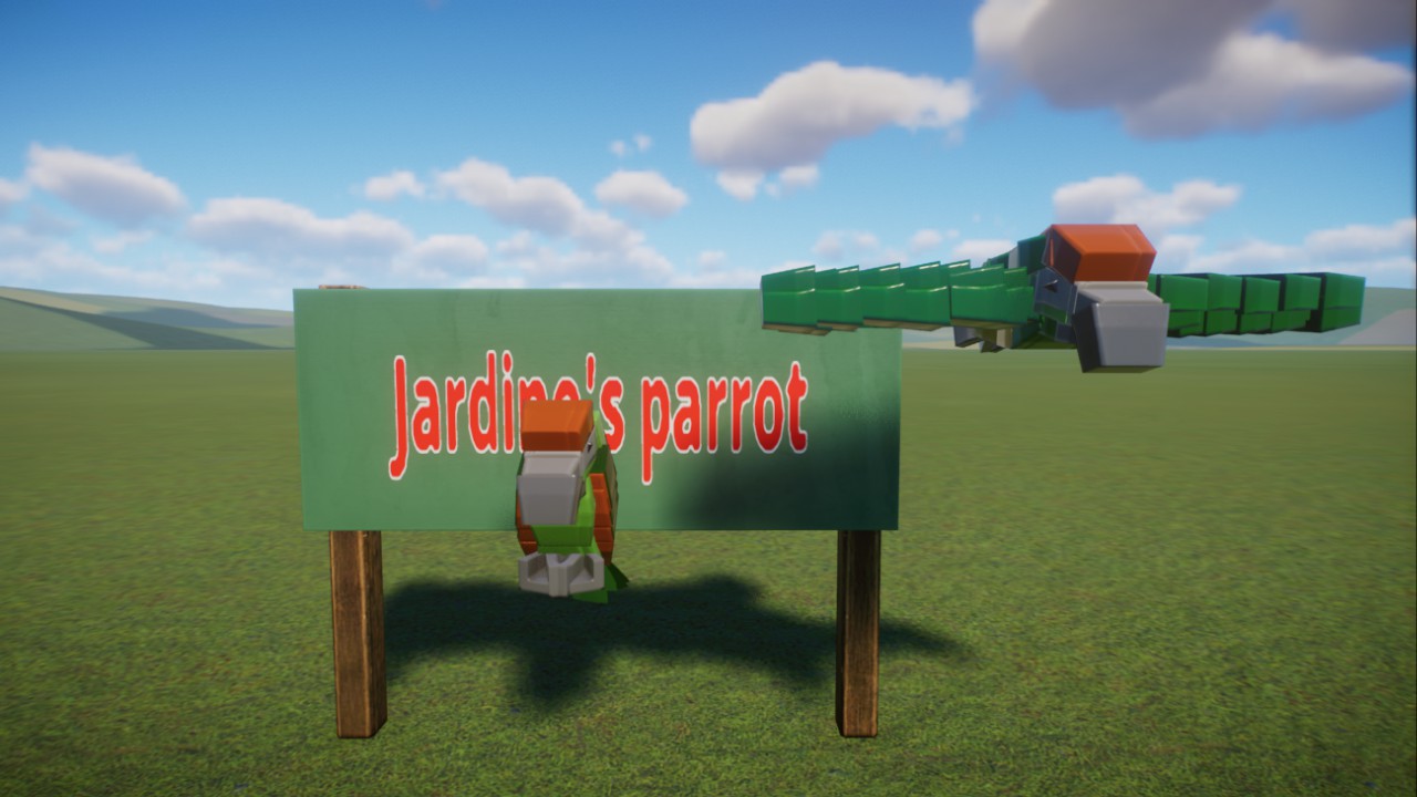 Dark's:Jardine's Parrot