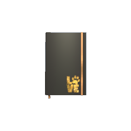 Day Planner- V6