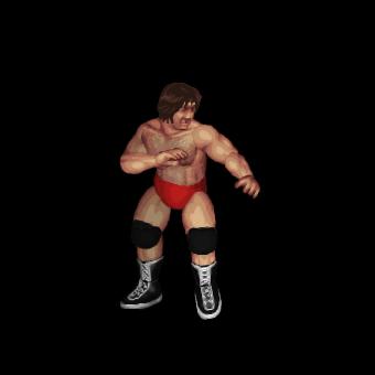 Terry Funk (Classic)