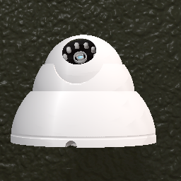Security camera