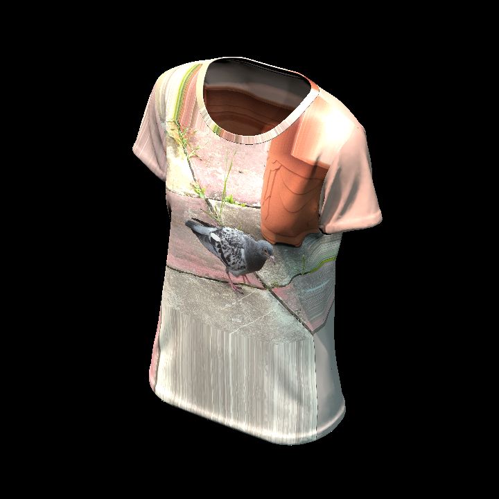 Shirt customised 34