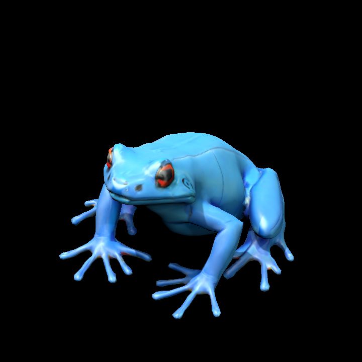 Frog 6