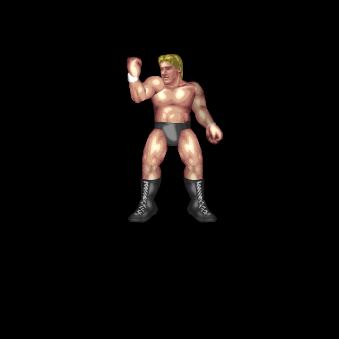 2nd Rope: Pumping Fist