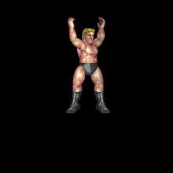 2nd Rope: Bulldog Straddle