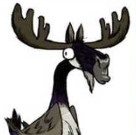 Moose Goose – Don't Starve Together Mod