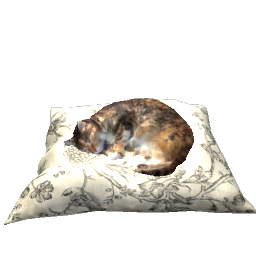Sleeping Cat- Pillow
