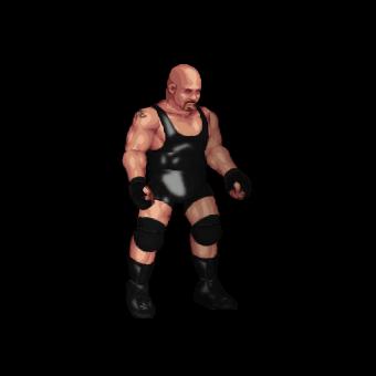 Pitbull #2